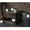 5 Oiseaux Lumineux A Led