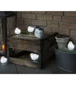 5 Oiseaux Lumineux A Led