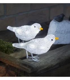 5 Oiseaux Lumineux A Led
