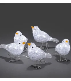 5 Oiseaux Lumineux A Led