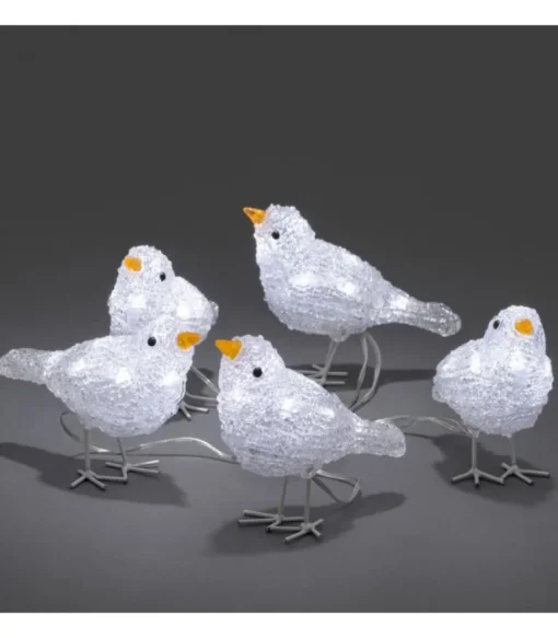 5 Oiseaux Lumineux A Led