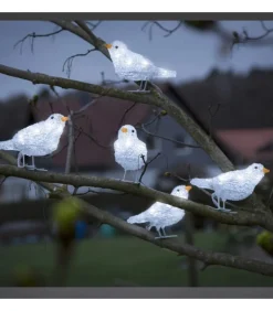 5 Oiseaux Lumineux A Led