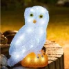 Chouette Lumineuse Led En Acrylique, 27 Cm